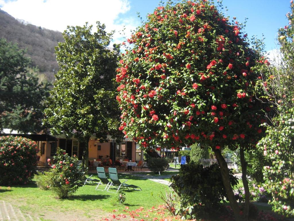 Villa Margherita Lake Maggiore Eksteriør bilde